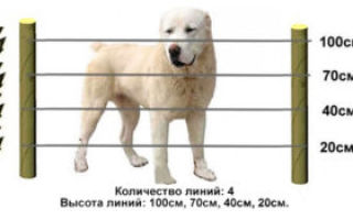 Ограждения для собак