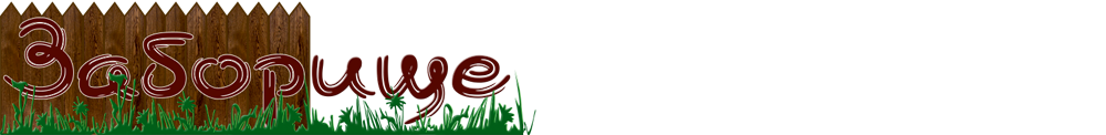https://zaborishe.ru/