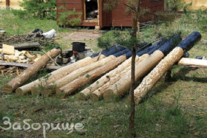 стволы в битуме