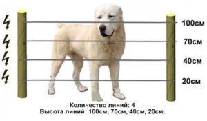 Электрический забор для собак